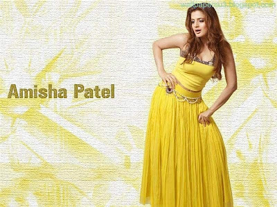 Amisha Patel Standard Resolution Wallpaper 10