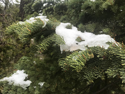  The weather was warm enough to melt the ice.