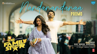 Nandanandanaa Lyrics In English Translation – The Family Star