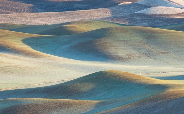 Padang Rumput Palouse Paling Cantik Di Dunia [ www.BlogApaAja.com ]