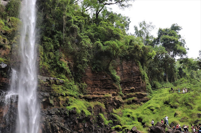 Not so alone at Lone Creek Falls #Sabie #SouthAfrica #PhotoYatra #TheLifesWayCaptures