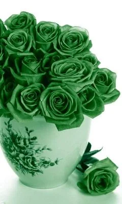 সবুজ গোলাপ ফুলের ছবি - Pictures of green roses - গোলাপ ফুলের ছবি ডাউনলোড - বিভিন্ন রঙের গোলাপ ফুলের ছবি ডাউনলোড - rose flower - NeotericIT.com