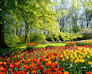 voglia di primavera! (paesaggio primaverile)