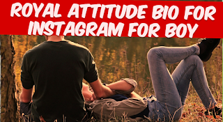 Royal Attitude bio for Instagram for Boy