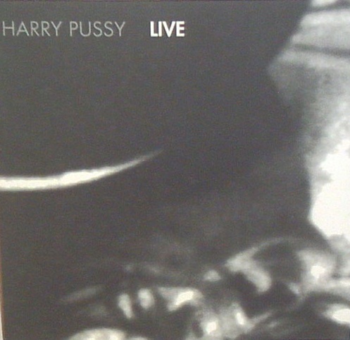 harry pussy live