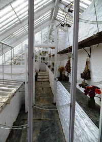 The Lost Gardens of Heligan, Cornwall - conservatories