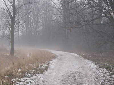 Koniec pierwszego śniegu, odwilż, marznąca mżawka, gołoledź łąki na Ruczaju, jazda na sankach, zimowy spacer