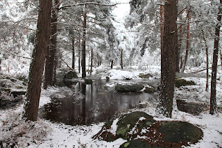 Mare dans les Gorges d'Apremont