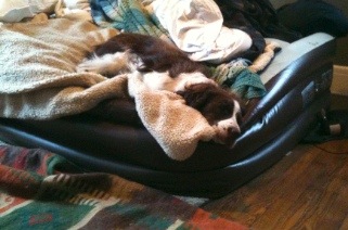 IMG_0563-thumb-2011-05-5-11-31.jpg