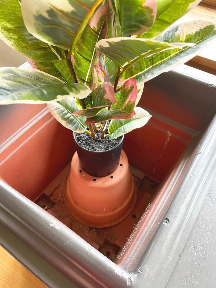 Plant sitting on top an empty pot