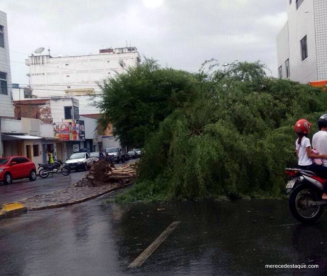 Vento forte derruba árvores e atinge telhados em Santa Cruz do Capibaribe