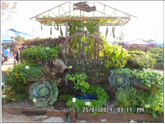 'งานเกษตรภาคอีสาน ขอนแก่น 2557