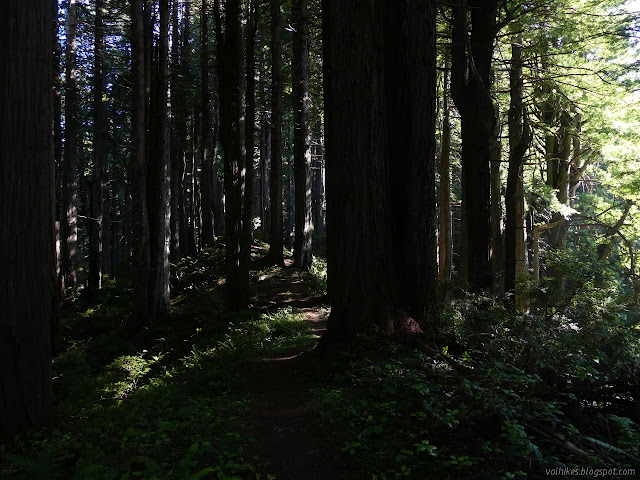 flat trail on a thin ridge