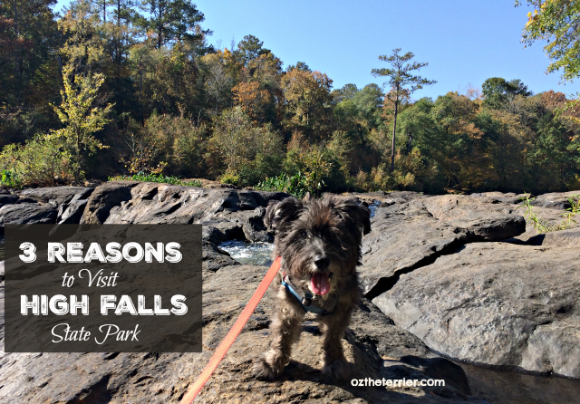 3 reasons to visit high falls state park in jackson, georgia