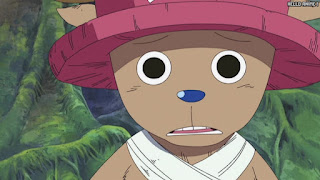 ワンピース アニメ 空島 スカイピア 166話 チョッパー Tony Tony Chopper | ONE PIECE Episode 166 Skypiea