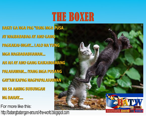 Batangueño around the world, batangenyo around the world, Batangas photo, Batangas, Batangueño ako, The Boxer (Cat Fight)