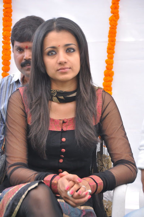 Smiling Trisha in Black Tranparent Churidar Leggings actress pics