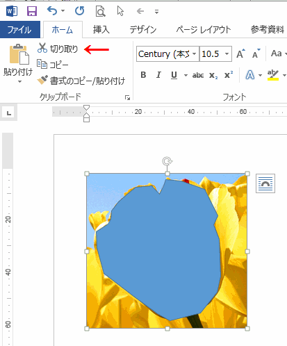 ワードの使い方 写真内の一部を輪郭に沿って切り抜く方法