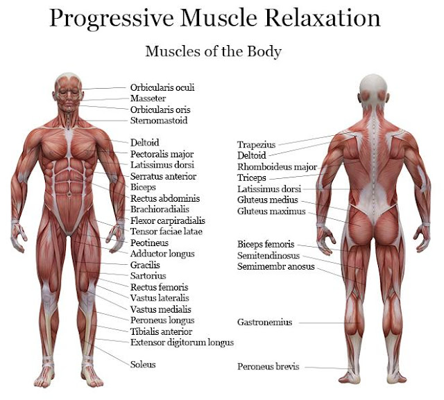 Relaxation_Musculaire_Progressive