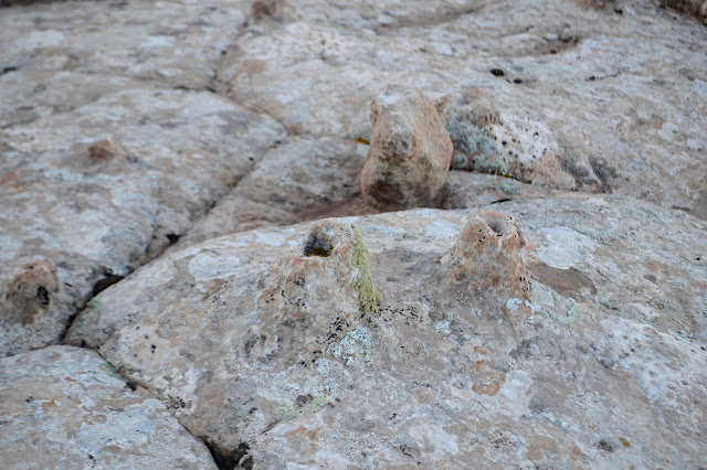 three casts with holes visible in two