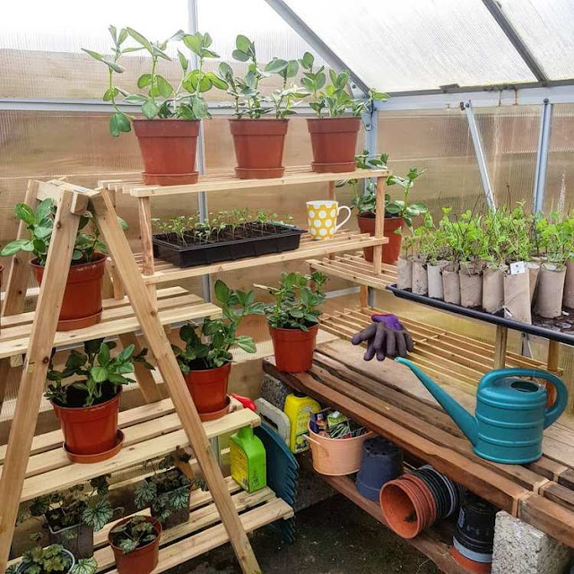 modern greenhouse ideas pictures
