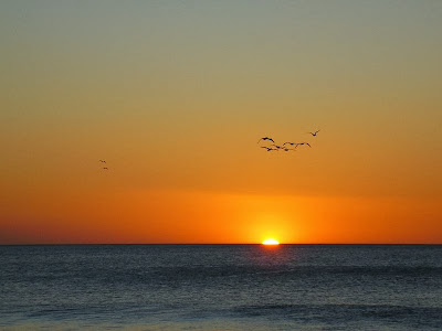 Playa Carmen, Guanacaste