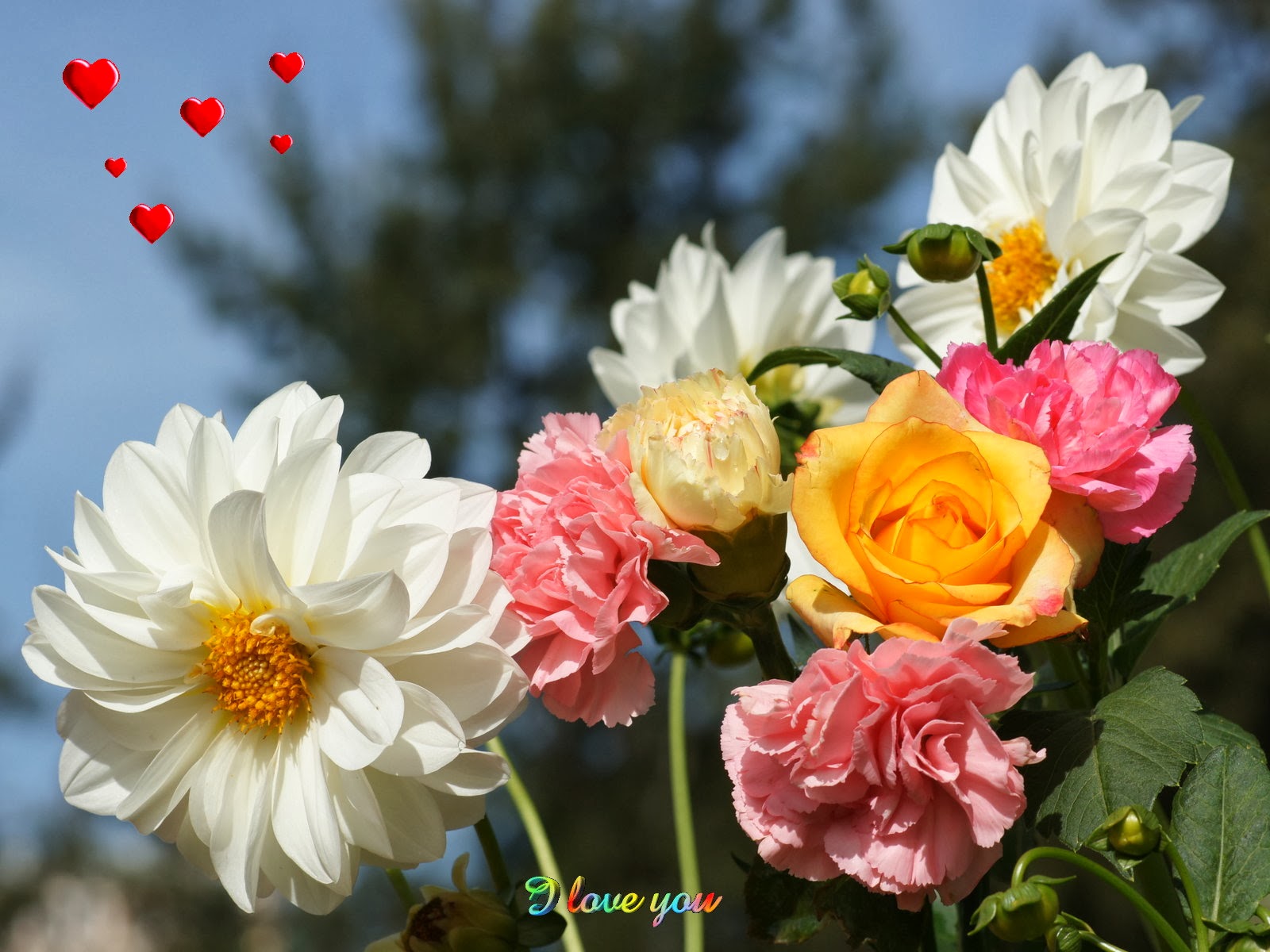 Free Games Wallpapers: Latest Flower Wallpapers-Download ...