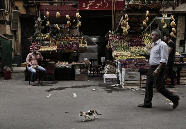 produce is sold in Tawfiqia fruit and vegetable market in downtown