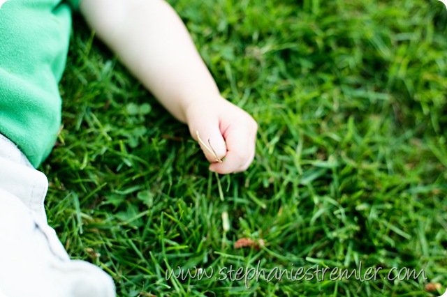 IMG_0325-Edit-2