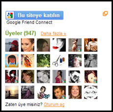 Google Friend Connect