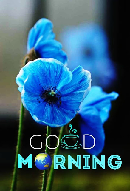 Good Morning Pic New