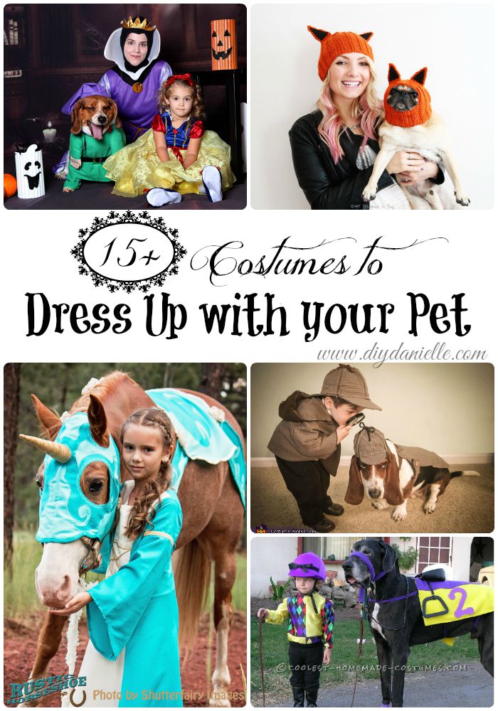 15 Halloween  Costumes to Dress up with Your  Pet DIY 
