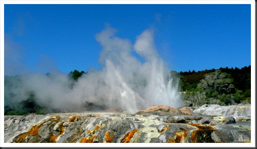 Rotorua (49)