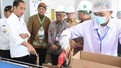 Minyak Makan Merah: Pilihan Sehat untuk Keluarga Indonesia