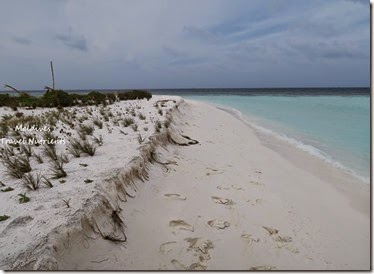 馬爾地夫 野餐島 浮潛 (46)
