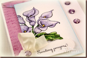 Calla_Lilies_fllc_2-2_edite