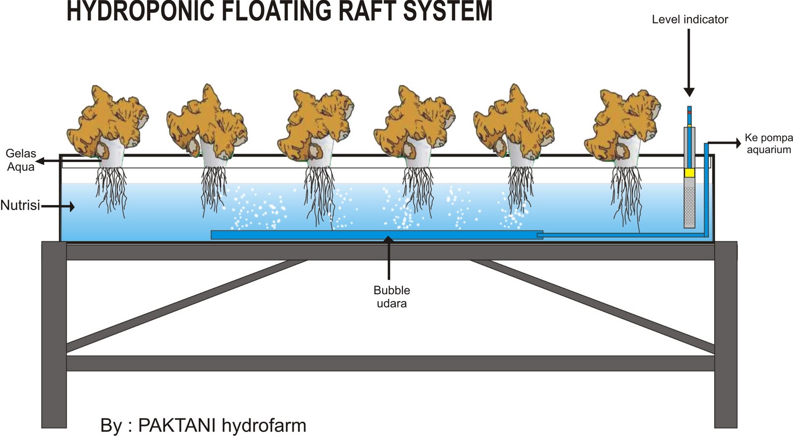 PAKTANI Hydrofarm: Berkebun Hidroponik Mudah dan Menyenangkan