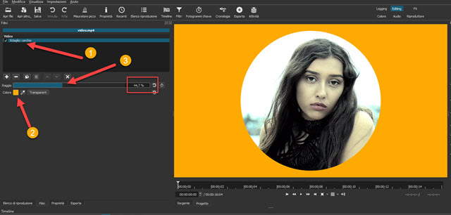 aggiungere filtro ritaglio circolare con colore