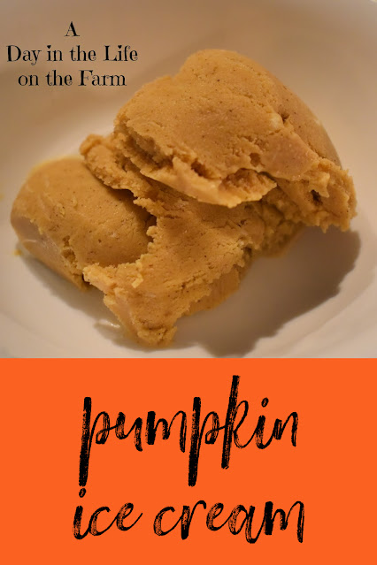 Pumpkin Ice Cream pin