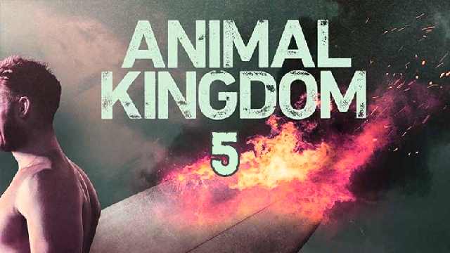Animal Kingdom Season 5: Release Date, Cast, Plot, Trailer And Latest Updates