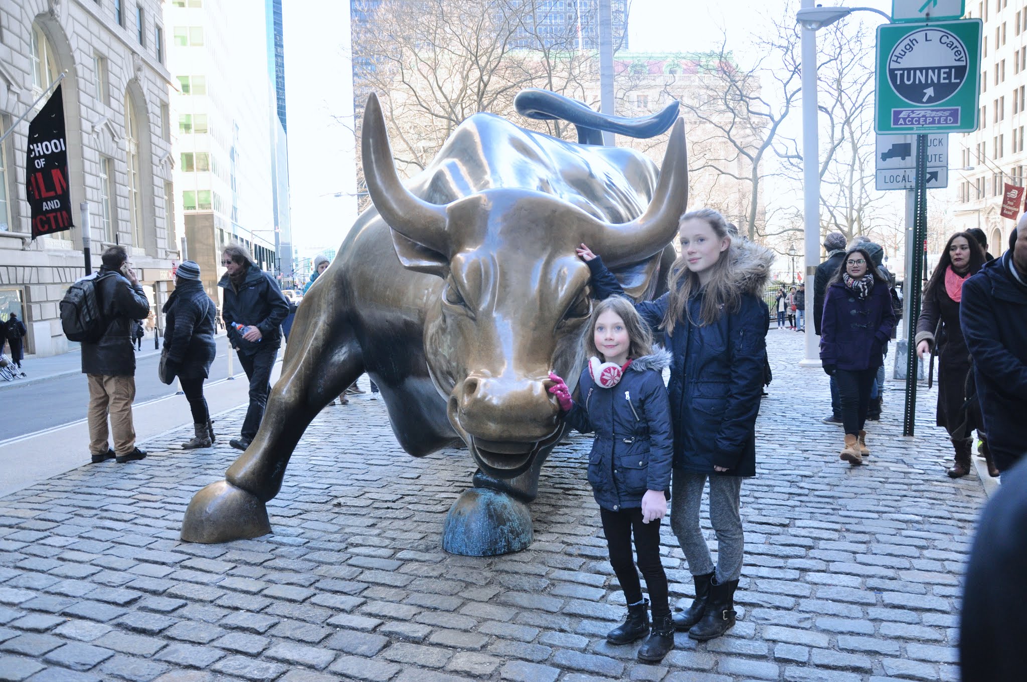 Charging Bull, New York City, New York, United States of America