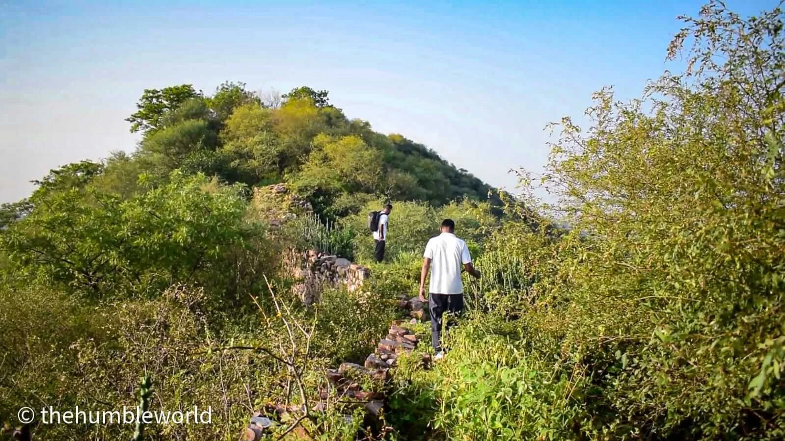 Fort wall is fully covered in bushes making it difficult to identify the tracks