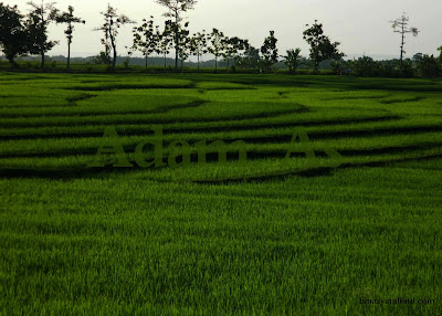 Nabi Adam, As. Sang Manusia Pertama