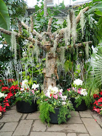 Mistletoe and three containers at the 2018 Allan Gardens Conservatory Winter Flower Show by garden muses--not another Toronto gardening blog