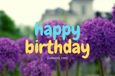 Top New Happy Birthday Flowers Images Free Download