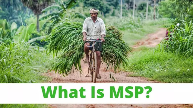 What-is-msp?