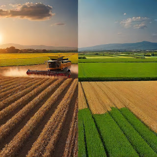 Agricultural vs Natural Resource Economics: Difference, Advantages, & Disadvantages