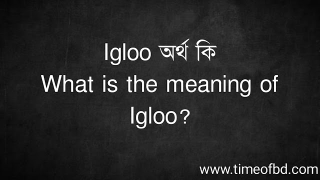 Igloo অর্থ কি | What is the meaning of Igloo?