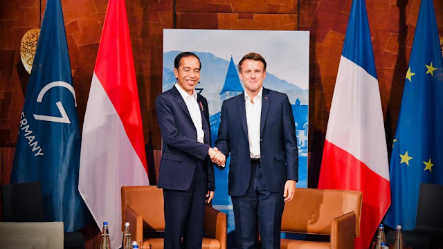 Pertemuan Bilateral Dengan Presiden Prancis, Jokowi Bahas Situasi Ukraina 