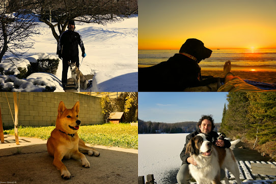 Things I Wish All Dog Owners Would Understand by Omar Cherif, One Lucky Soul